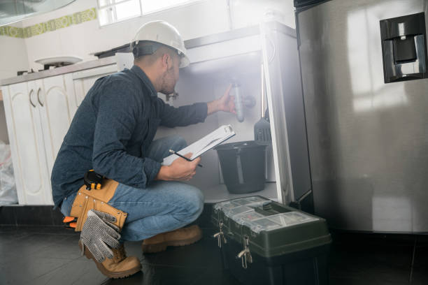 Best Local Plumber Services  in Pine Valley, CA