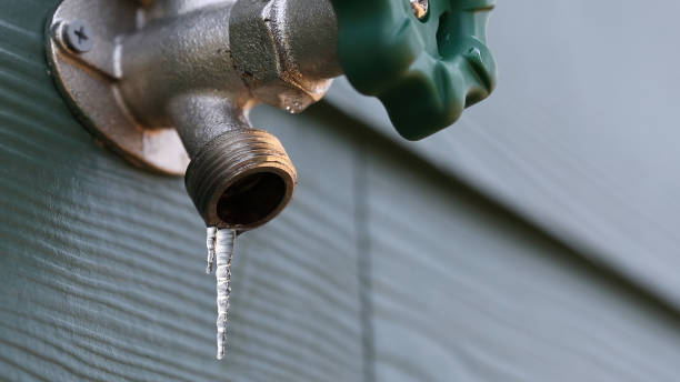 Best Plumbing Inspection Services  in Pine Valley, CA
